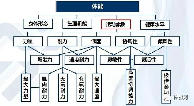 篮球训练营中试训的表现评估方法_2
